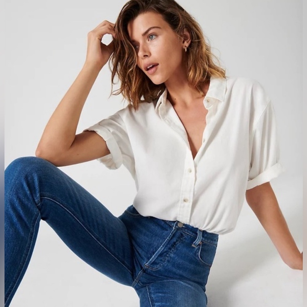 Aritzia Denim Forum Jane Shirt